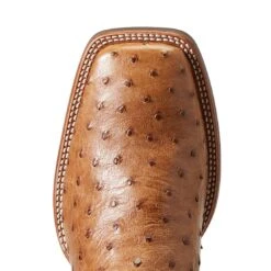 Ariat Men`s Quantum Primo Ranger FQ Ostrich 11` Beam Brown Top Square Toe Boots 11 Ariat Men`s Quantum Primo Ranger FQ Ostrich 11` Beam Brown Top Square Toe Boots -Cinc Clothing Shop 10040281 4