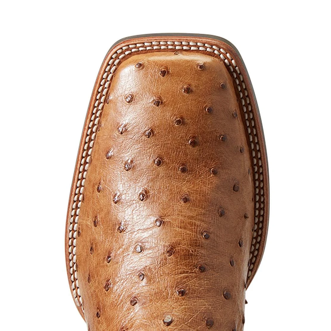 Ariat Men`s Quantum Primo Ranger FQ Ostrich 11` Beam Brown Top Square Toe Boots 7 Ariat Men`s Quantum Primo Ranger FQ Ostrich 11` Beam Brown Top Square Toe Boots - Image 5