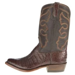 Mens Brown Caiman Belly 12in. Chocolate Calf Top -Cinc Clothing Shop 101031 2