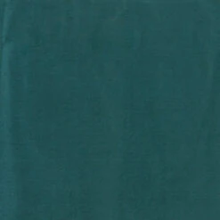 Wyoming Traders Eucalyptus Solid Silk Wild Rag