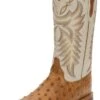 Justin Boots Men's Justin Pascoe Full Quill Ostrich 13in. Antique Saddle Maddog Cowboy Boots 2 Justin Boots Men's Justin Pascoe Full Quill Ostrich 13in. Antique Saddle Maddog Cowboy Boots -Cinc Clothing Shop 118500 default l