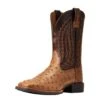 Ariat Men`s Quantum Primo Ranger FQ Ostrich 11` Beam Brown Top Square Toe Boots -Cinc Clothing Shop 146659 default l