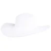 Peter Grimm White Erin 5in. Brim Straw Hat -Cinc Clothing Shop 152503 default l