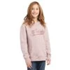 Ariat Girl's REAL Glitter Logo Hoodie -Cinc Clothing Shop 160866 default l