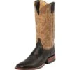 Justin Boots Men's Justin AQHA Remuda Series Black Smooth Ostrich Cowboy Boots 1 Justin Boots Men's Justin AQHA Remuda Series Black Smooth Ostrich Cowboy Boots -Cinc Clothing Shop 37031 default l