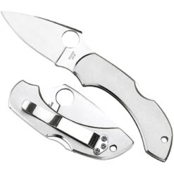 Spyderco Dragonfly Plain Edge Pocket Knife