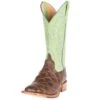 Horsepower Men's Choc Filet Fo Fish Green Sensation Cowboy Boots -Cinc Clothing Shop 92529 default l