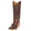 Tin Haul Footwear Women's Cactooled Brown Cowgirl Boots -Cinc Clothing Shop 98286 default l
