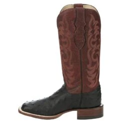 Justin Boots Women`s AQHA Cowgal Black Full Quill Ostrich 13 In Boot -Cinc Clothing Shop AQ8650 03