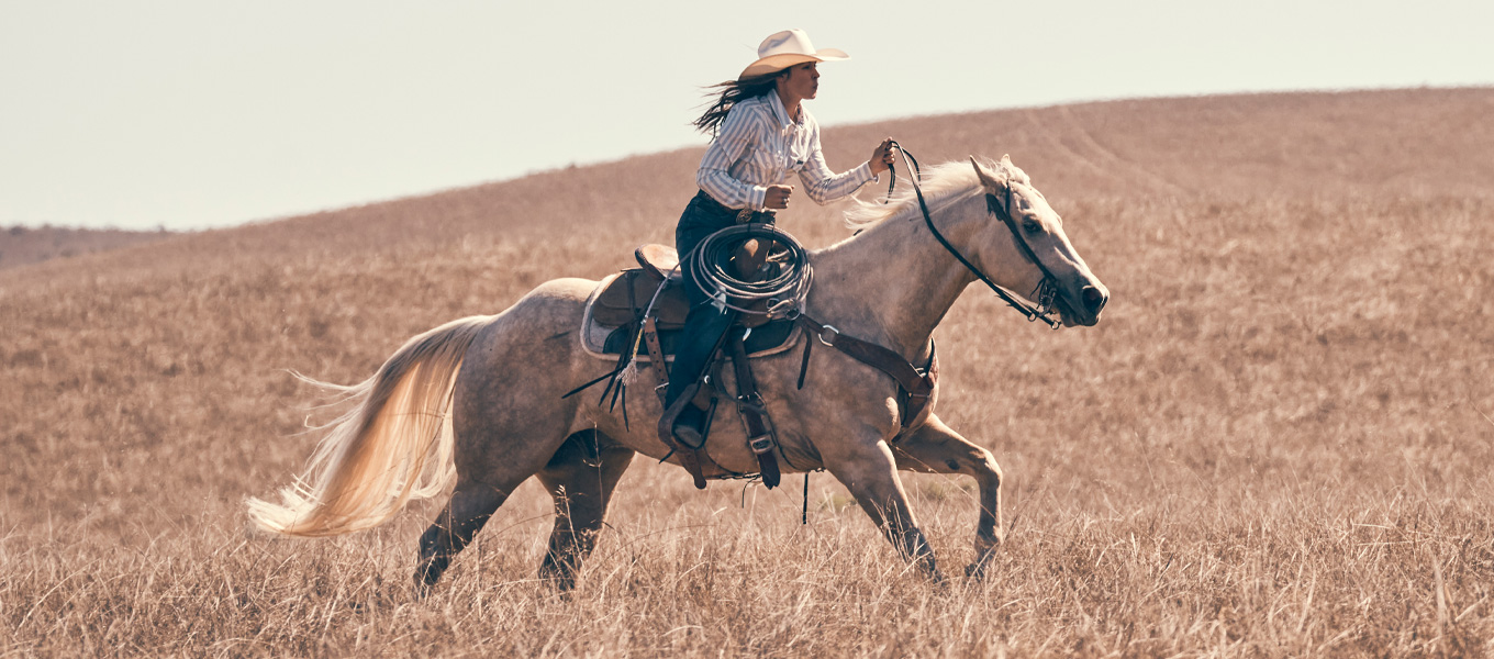 Cinc Clothing Shop 1 Cinc Clothing Shop -Cinc Clothing Shop Ladies CatBanner 05 10 24